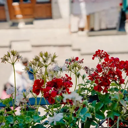 Old Well Bazaar * Gjirokastër