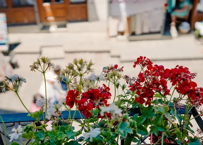 Old Well Bazaar * Gjirokastër